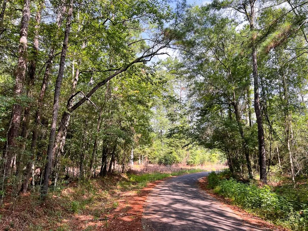 1 County Road 3725 Colmesneil, TX 75938