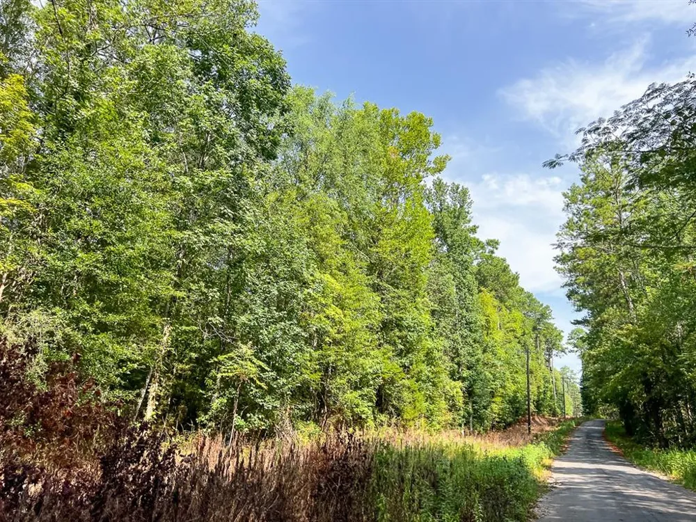 1 County Road 3725 Colmesneil, TX 75938