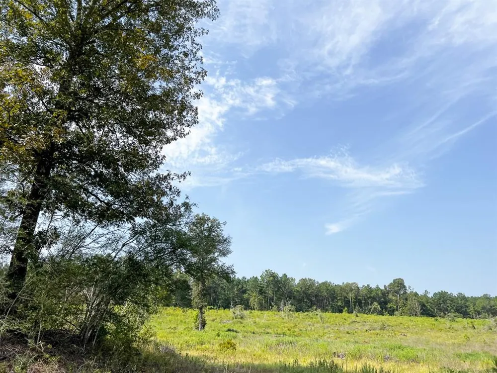 1 County Road 3725 Colmesneil, TX 75938