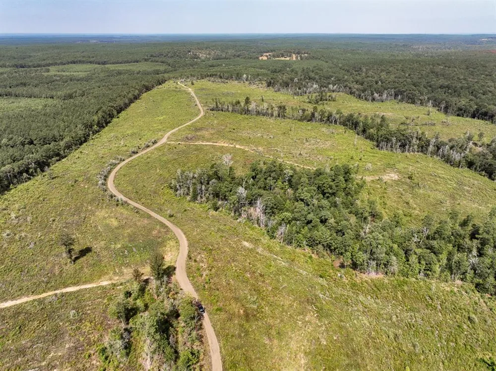 1 County Road 3725 Colmesneil, TX 75938