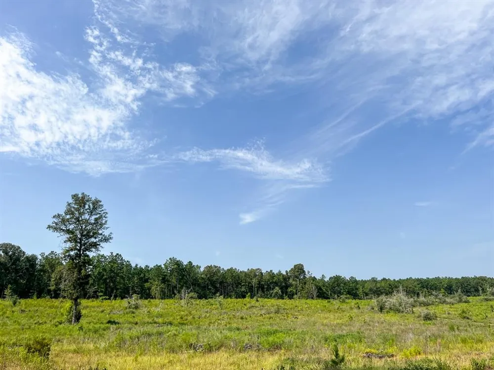 1 County Road 3725 Colmesneil, TX 75938