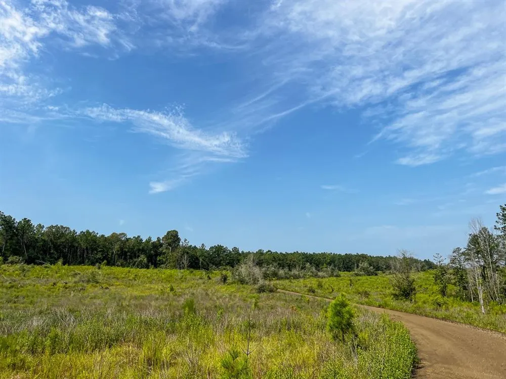 1 County Road 3725 Colmesneil, TX 75938