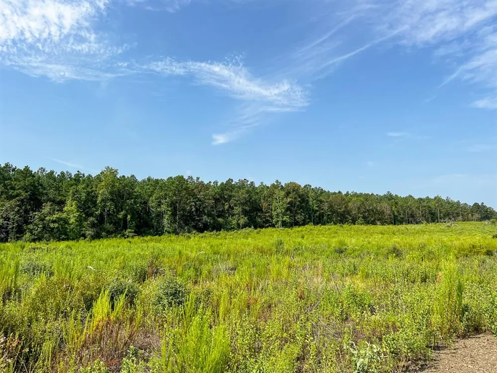 1 County Road 3725 Colmesneil, TX 75938