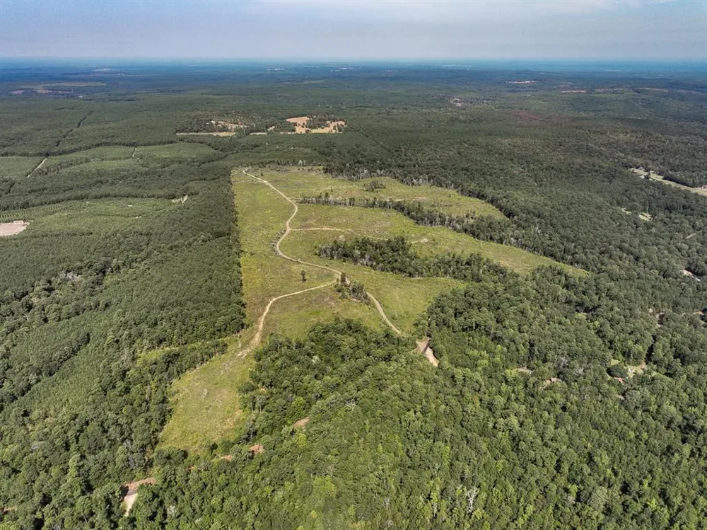 1 County Road 3725 Colmesneil, TX 75938