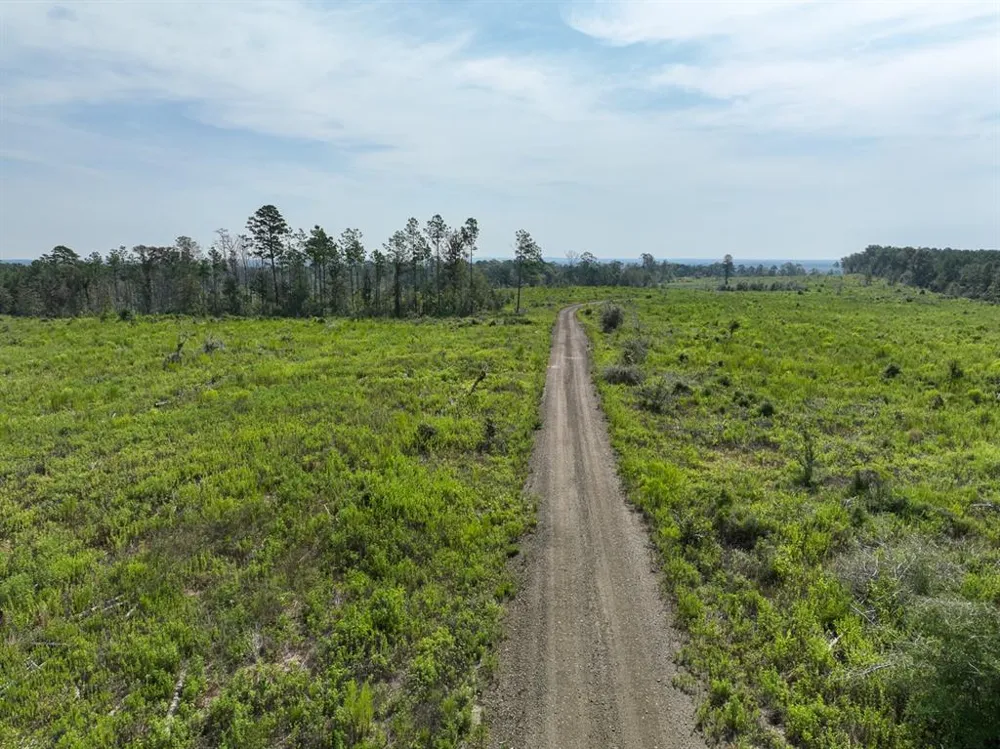 1 County Road 3725 Colmesneil, TX 75938