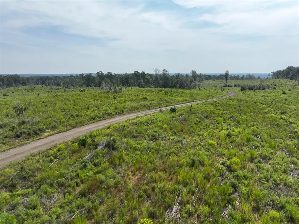 1 County Road 3725 Colmesneil, TX 75938