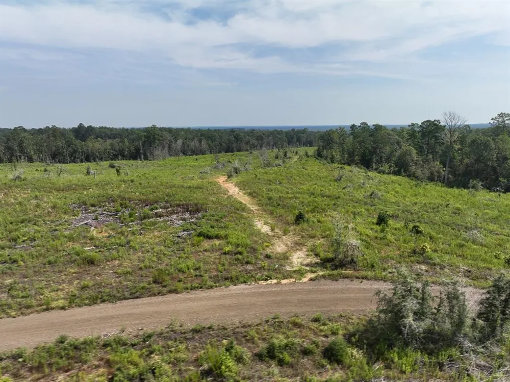 1 County Road 3725 Colmesneil, TX 75938