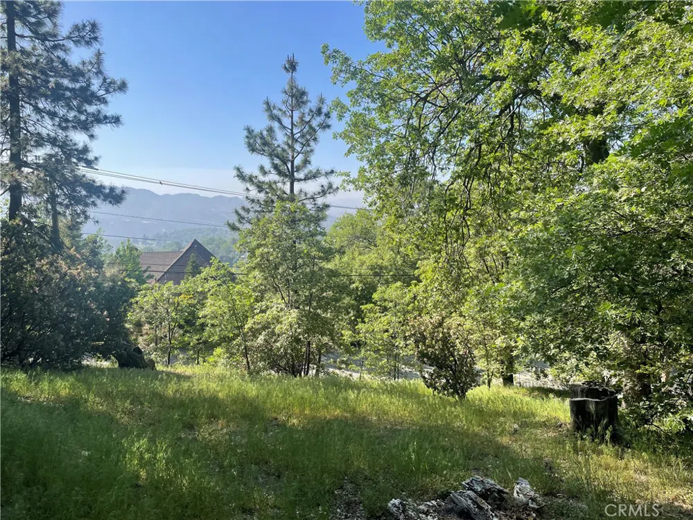 Banff Drive Lake Arrowhead, CA 92352