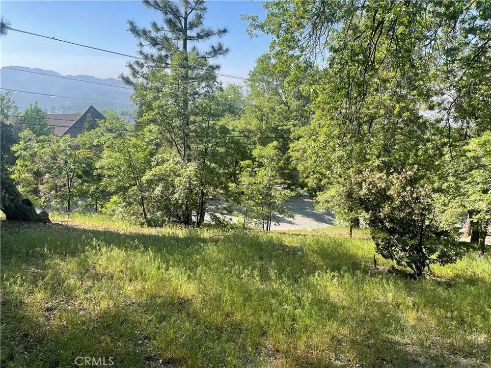 Banff Drive Lake Arrowhead, CA 92352