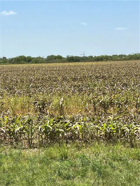 15489 County Road 1726