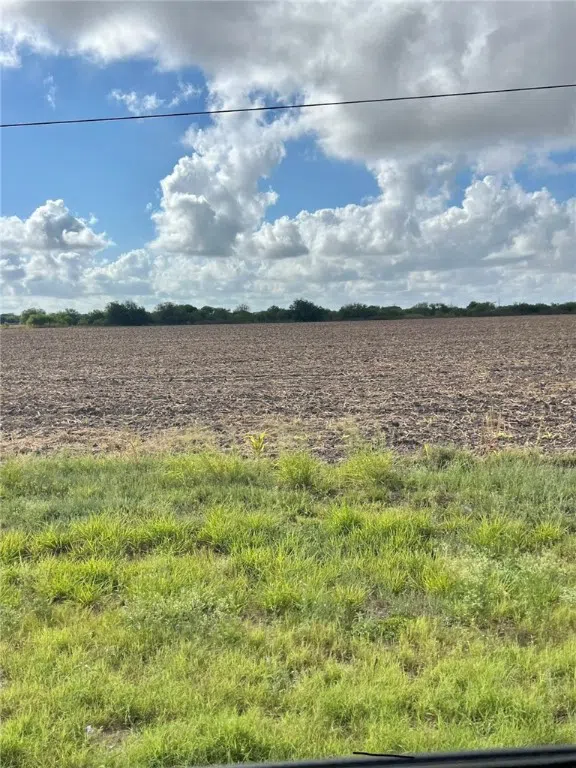 15489 County Road 1726 Odem, TX 78370