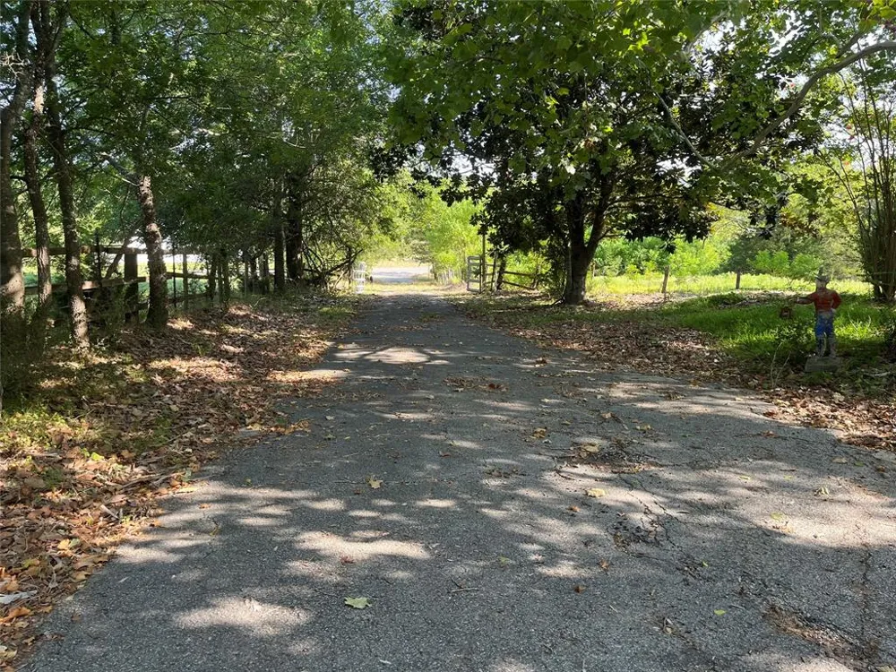 7687 Fm 17 Grand Saline, TX 75140