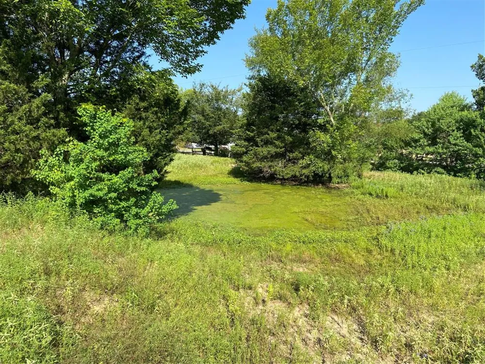 7687 Fm 17 Grand Saline, TX 75140