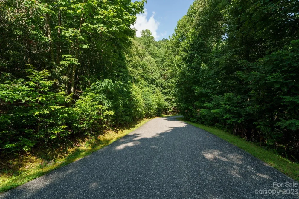 317 Boundary Tree Pass #14 Arden, NC 28704