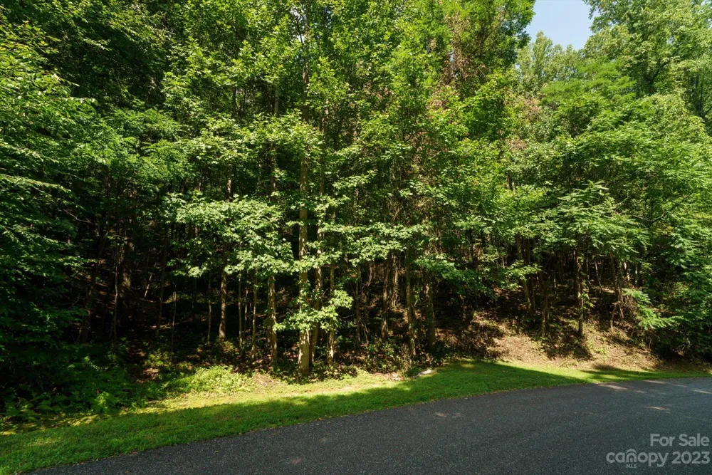 317 Boundary Tree Pass #14 Arden, NC 28704