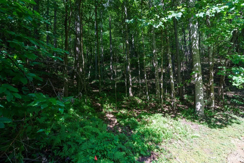 317 Boundary Tree Pass #14 Arden, NC 28704