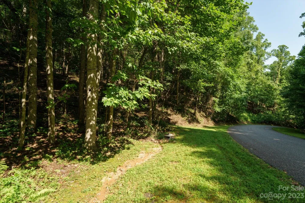 317 Boundary Tree Pass #14 Arden, NC 28704