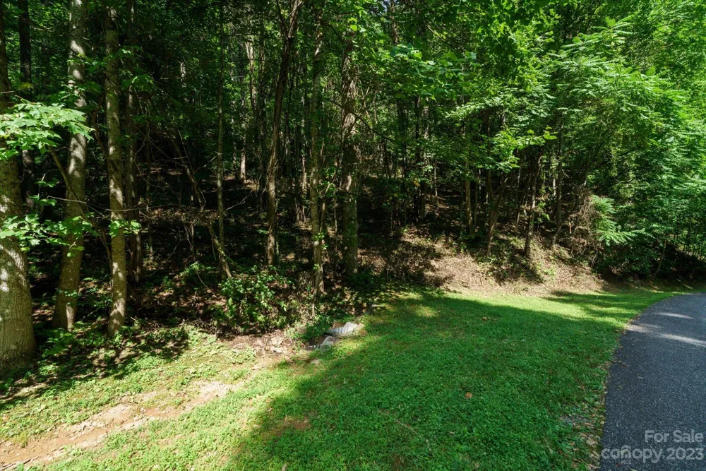 317 Boundary Tree Pass #14 Arden, NC 28704