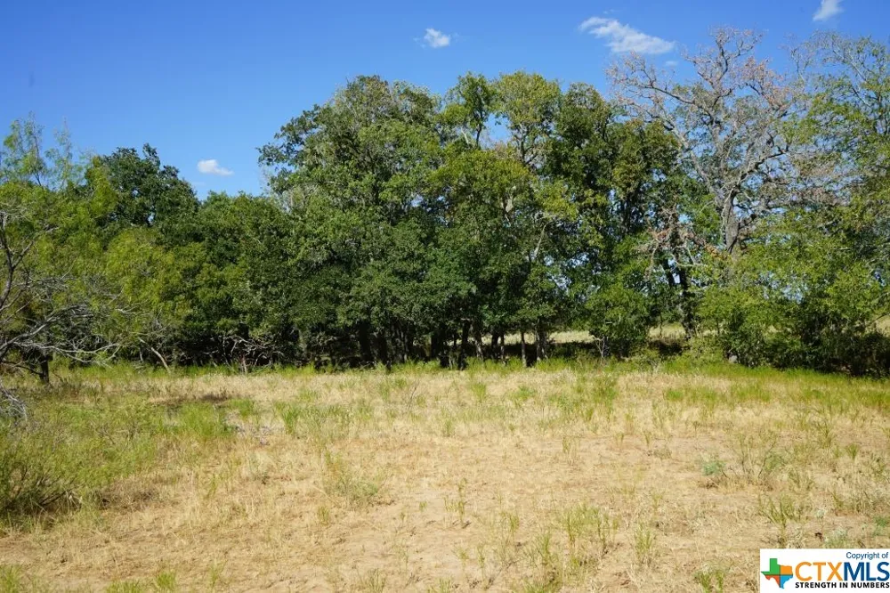 1 CR 236A Milano, TX 76556