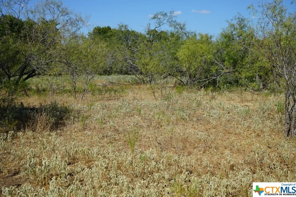 1 CR 236A Milano, TX 76556