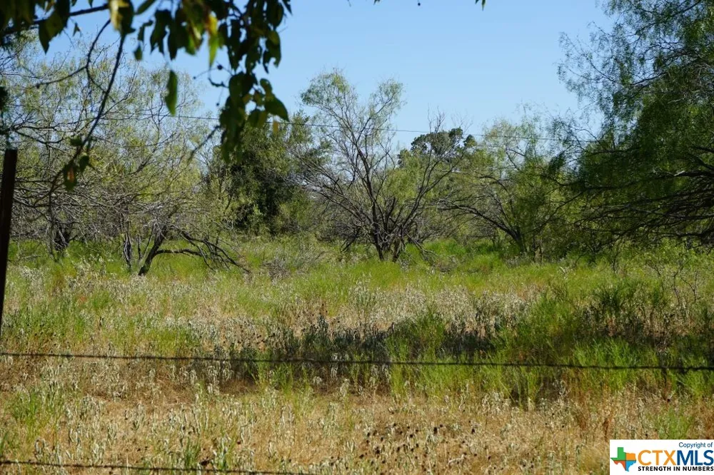 1 CR 236A Milano, TX 76556