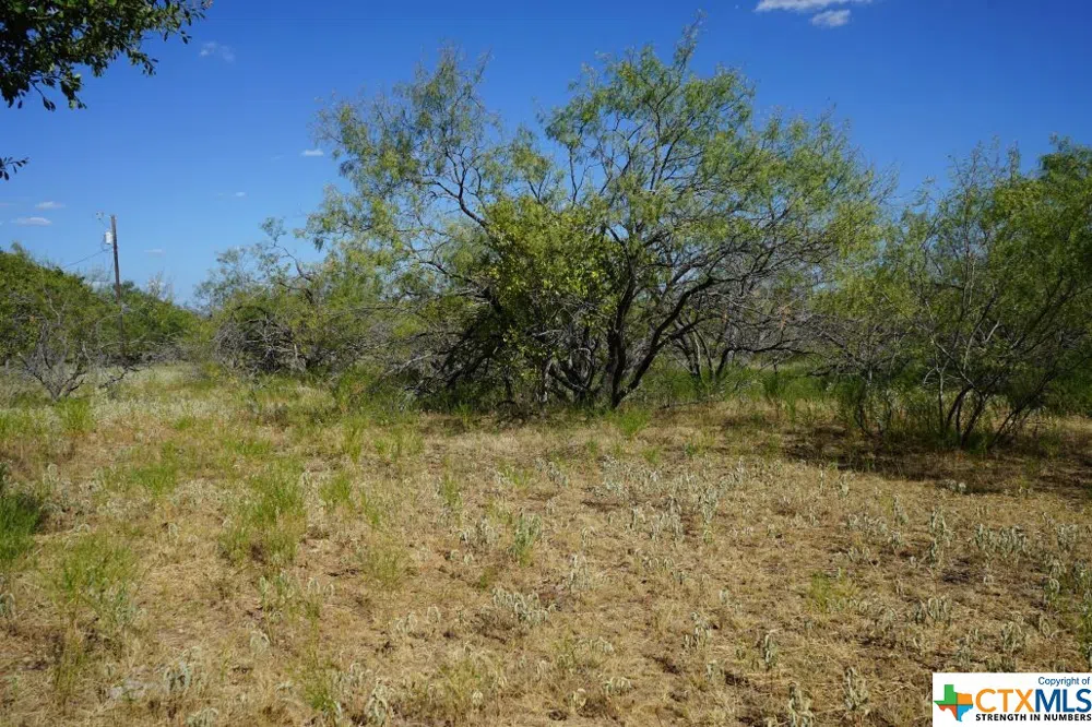 1 CR 236A Milano, TX 76556