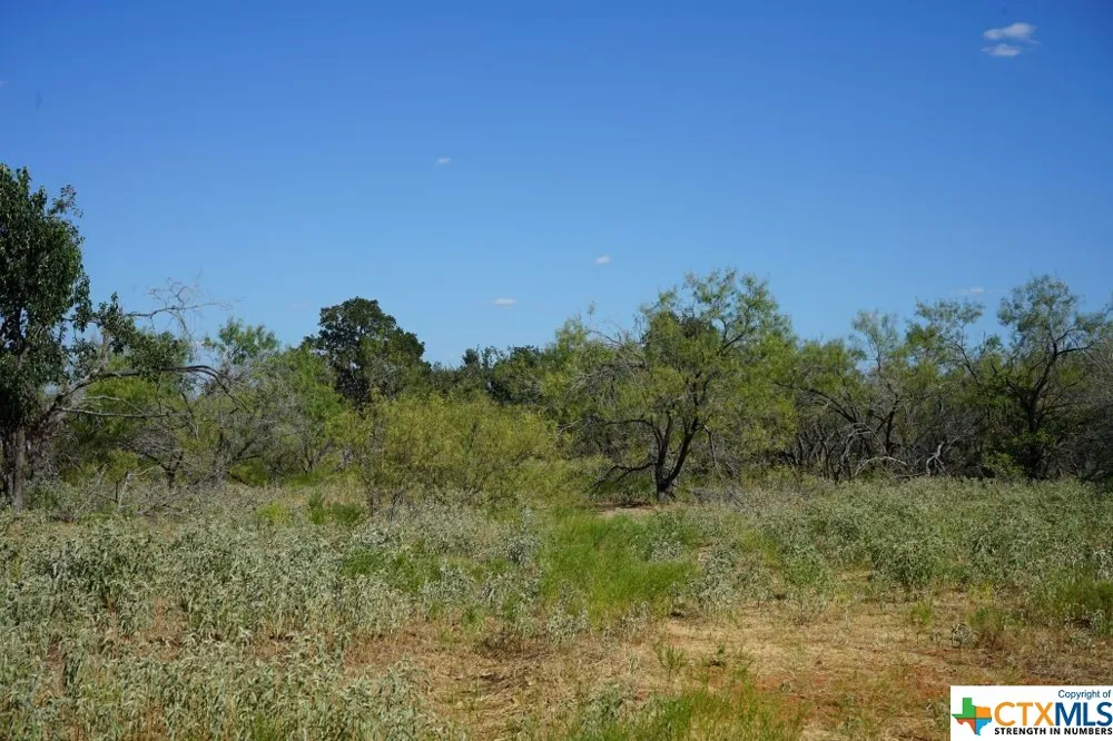 1 CR 236A Milano, TX 76556