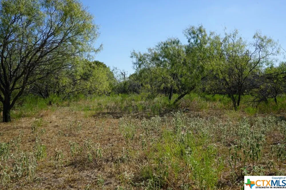 1 CR 236A Milano, TX 76556