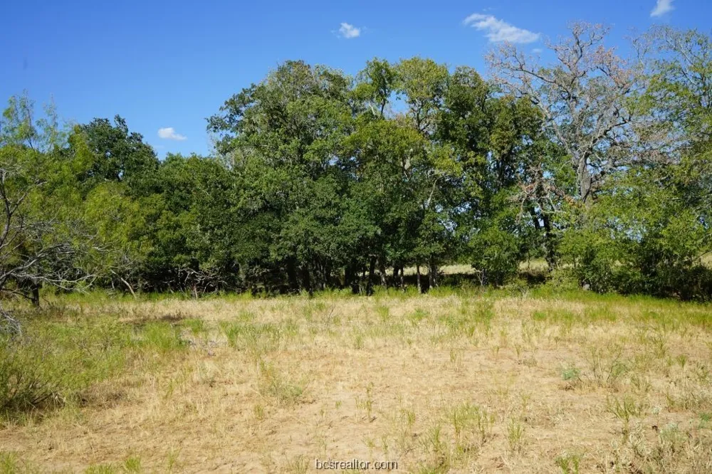 1 CR 236A Milano, TX 76556