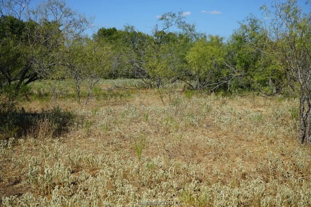 1 CR 236A Milano, TX 76556