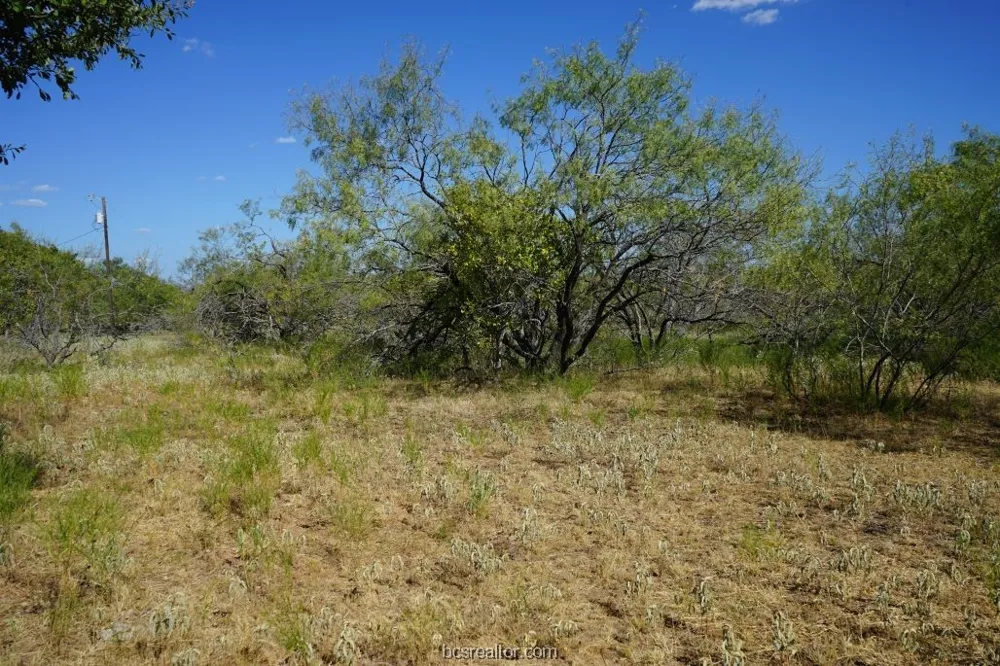 1 CR 236A Milano, TX 76556