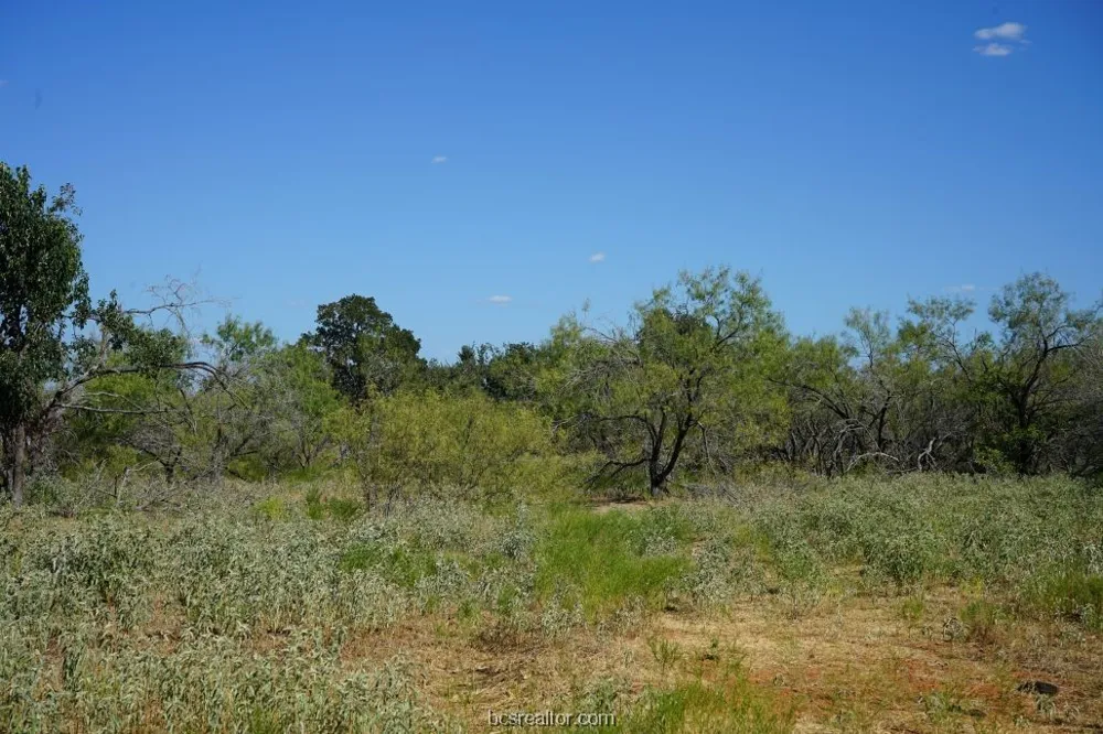1 CR 236A Milano, TX 76556