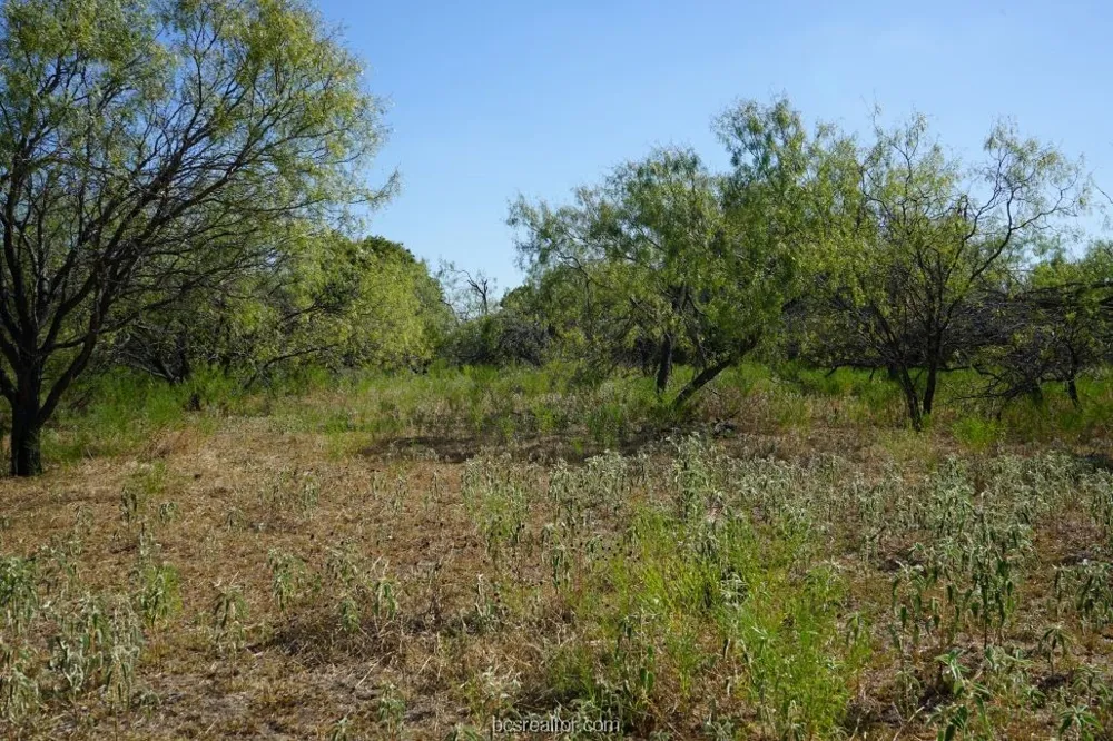 1 CR 236A Milano, TX 76556