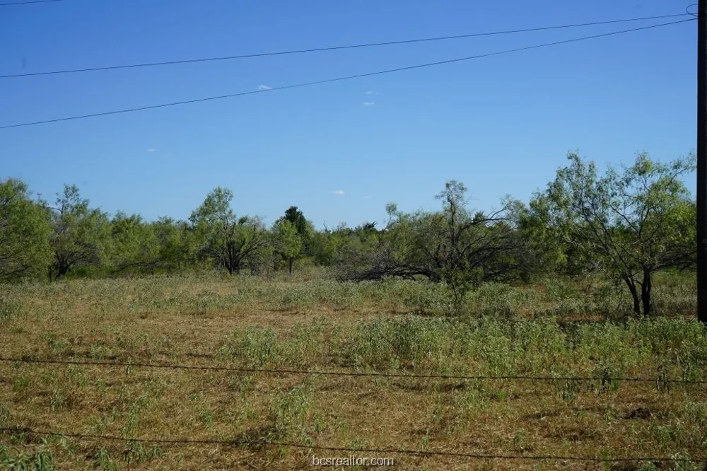 1 CR 236A Milano, TX 76556