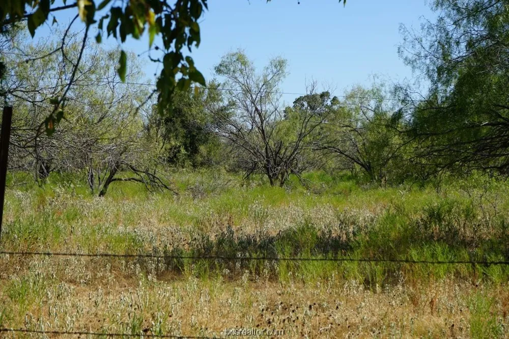 1 CR 236A Milano, TX 76556