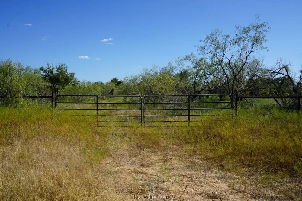 1 CR 236A Milano, TX 76556