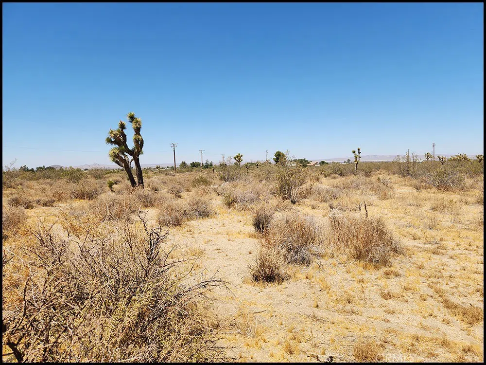 Oasis Road Pinon Hills, CA 92372