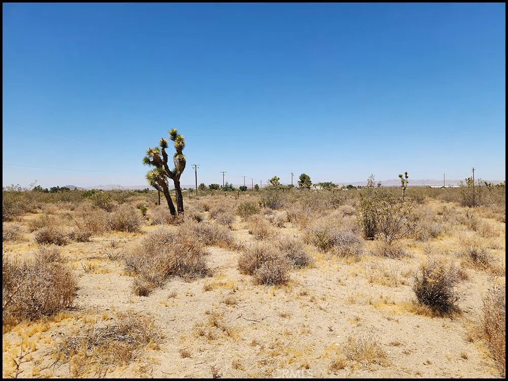 Oasis Road Pinon Hills, CA 92372