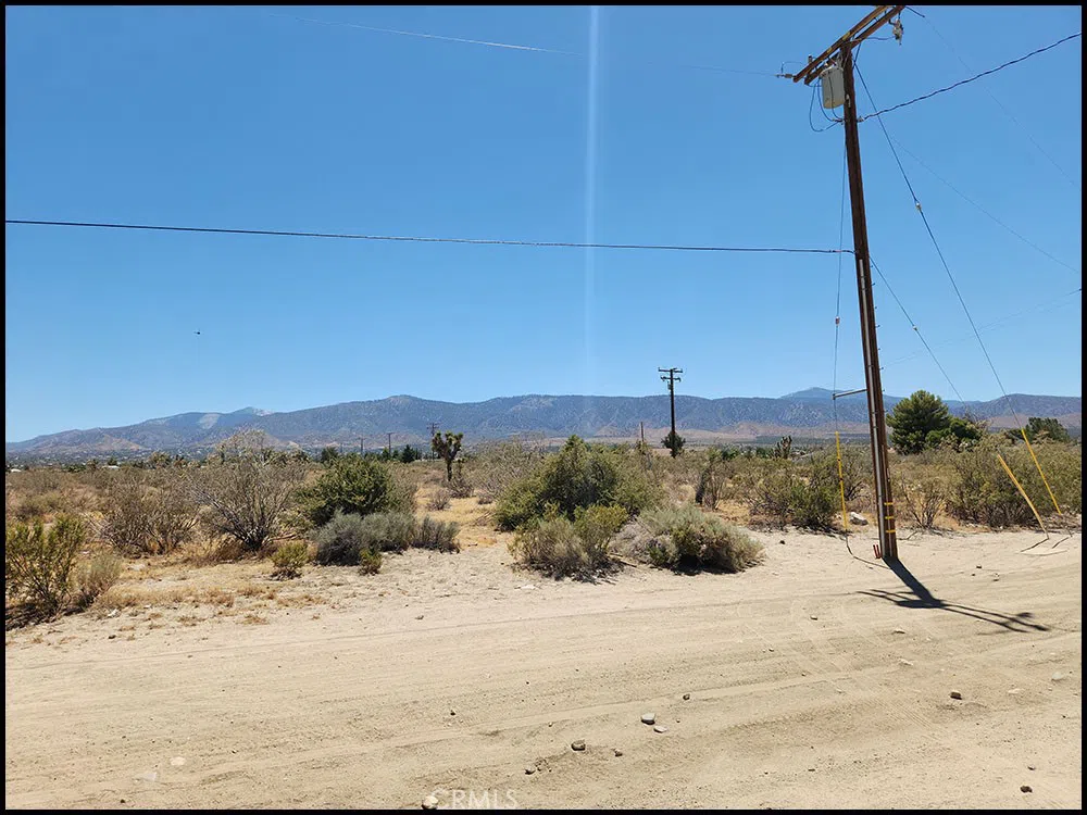 Oasis Road Pinon Hills, CA 92372