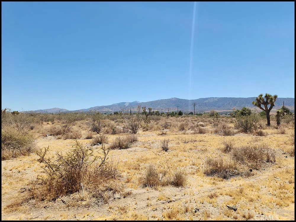 Oasis Road Pinon Hills, CA 92372