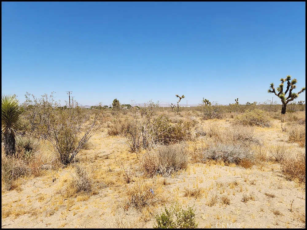 Oasis Road Pinon Hills, CA 92372