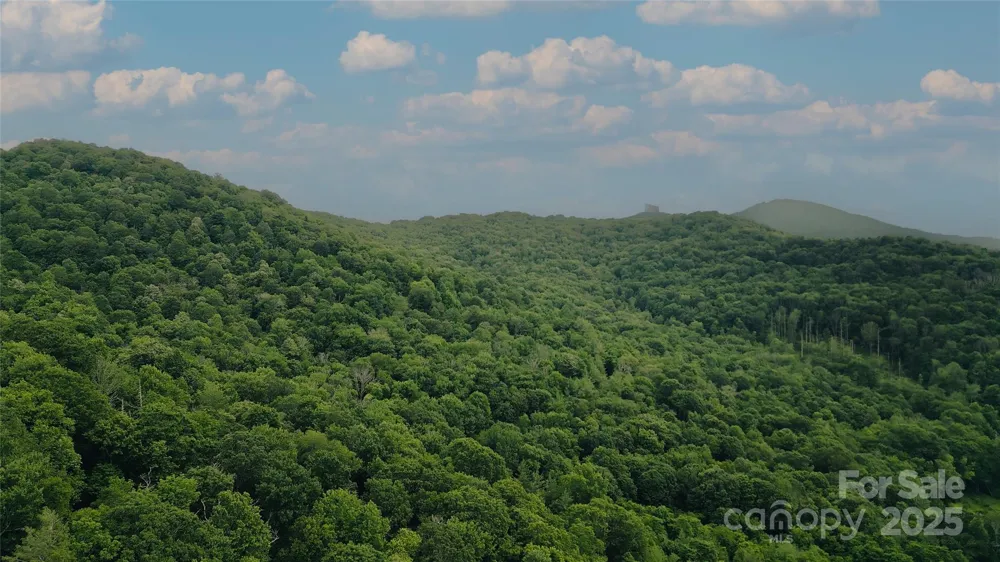 243+/- Dobbin Road Banner Elk, NC 28604