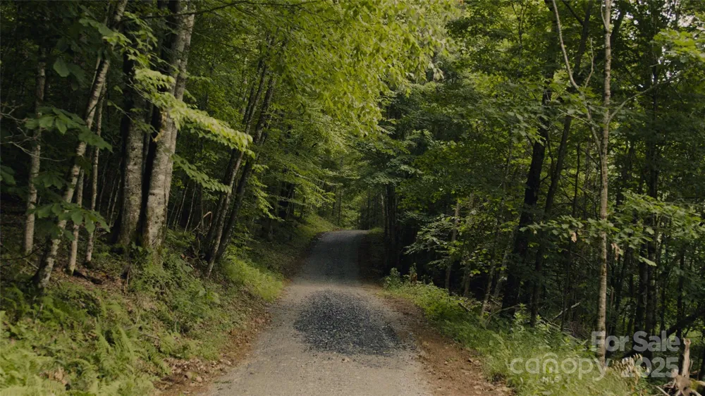243+/- Dobbin Road Banner Elk, NC 28604