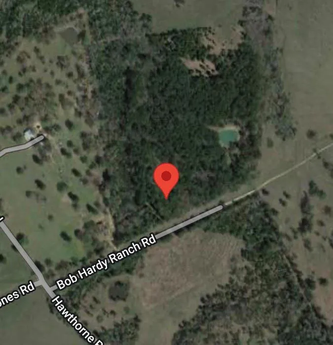 27 Bob Hardy Ranch Road New Waverly, TX 77358