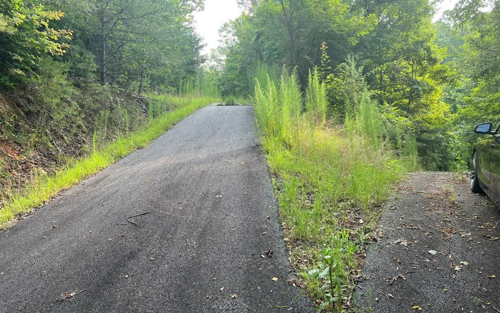 LOT 11 Preserve At Beach Mountain Brasstown, NC 28902