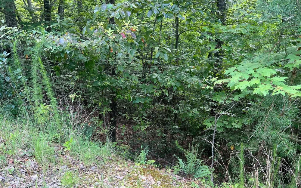 LOT 11 Preserve At Beach Mountain Brasstown, NC 28902