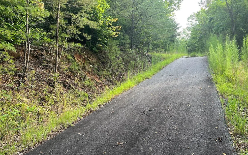 LOT 11 Preserve At Beach Mountain Brasstown, NC 28902
