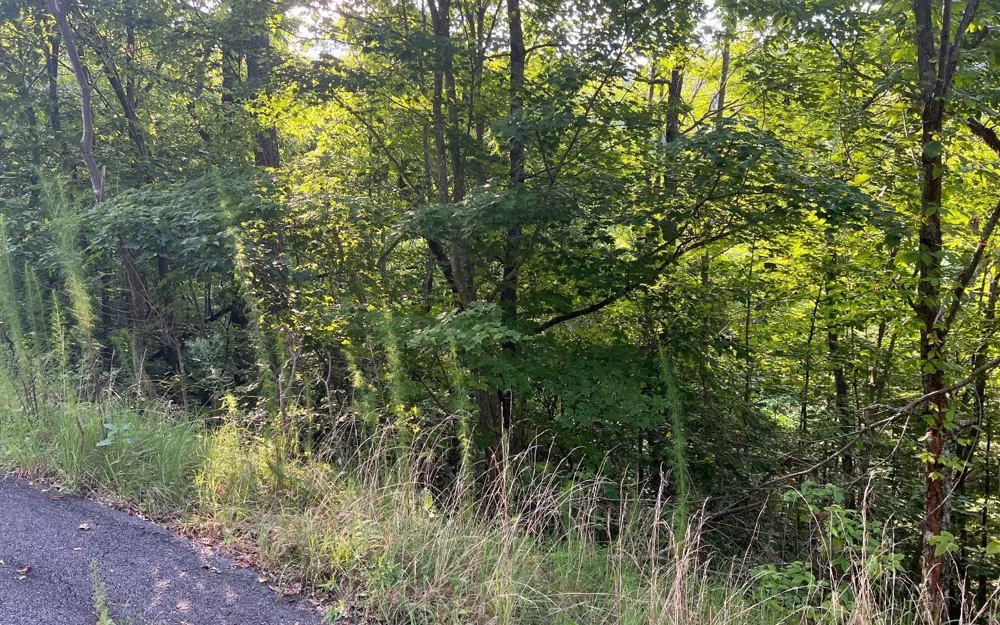 LOT 11 Preserve At Beach Mountain Brasstown, NC 28902