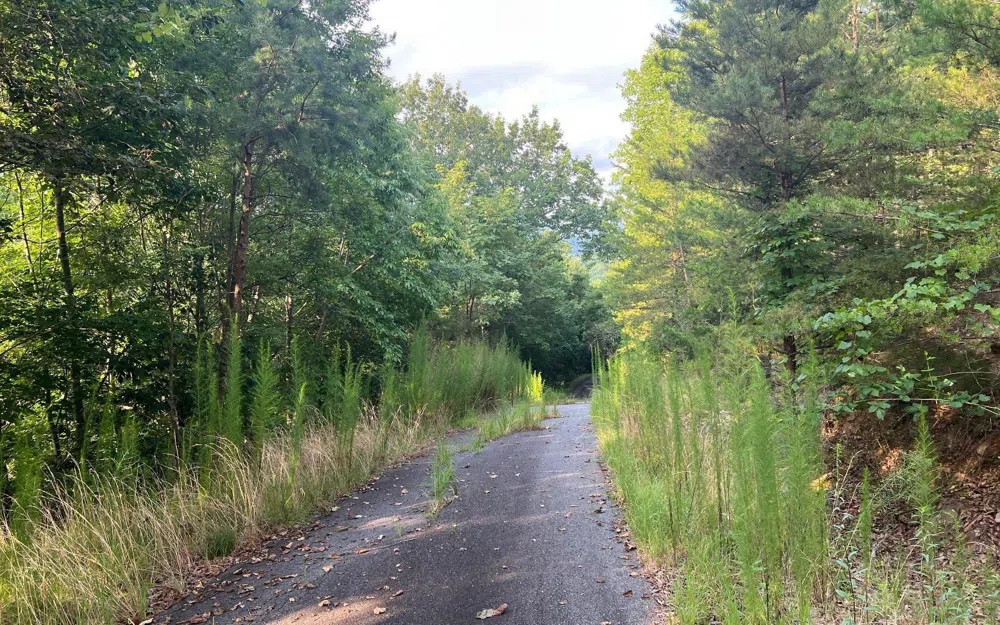 LOT 11 Preserve At Beach Mountain Brasstown, NC 28902