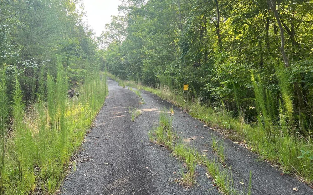 LOT 11 Preserve At Beach Mountain Brasstown, NC 28902